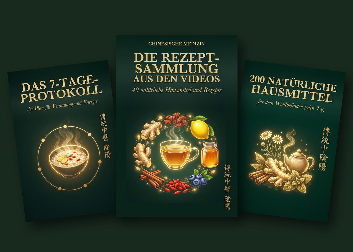 Bonus-Paket Meister Shen – 3 E-Books